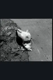 The Delmarva Chicken of Tomorrow movie poster