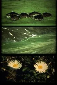 Spaziergänge movie poster