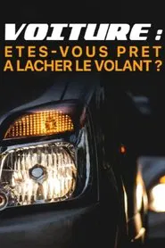 Voiture : êtes-vous prêts à lâcher le volant ? movie poster