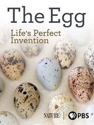 The Egg: Life’s Perfect Invention movie poster