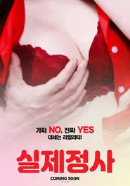 Real Affairs movie poster