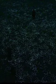 Poster do filme the planck universe [micro]