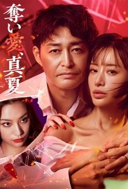 奪い愛、真夏 tv show poster