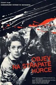 Objev na Střapaté hůrce movie poster