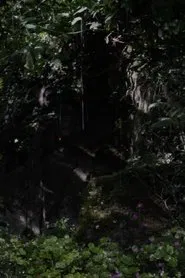 The Toby Tatum Guide to Grottoes & Groves movie poster