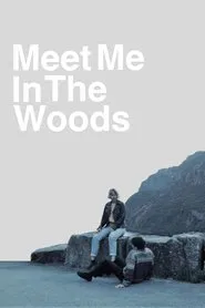Poster do filme Meet me in the woods
