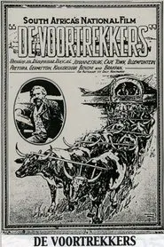 Winning a Continent movie poster