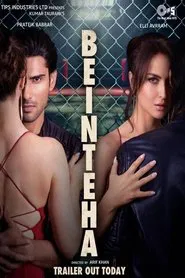 Poster do filme Beinteha