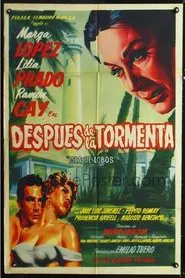 Después de la tormenta movie poster
