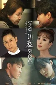We Got Divorced tv show poster