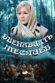 Poster do filme The Twelve Months