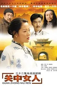 关中女人 tv show poster