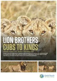 Lion Brothers: Cubs to Kings movie poster