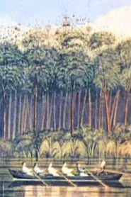 New Country - New People movie poster