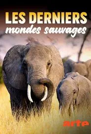 Les Derniers Mondes Sauvages tv show poster