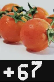 #67 movie poster