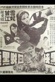 The Woman in Black and the Black Dragon movie poster