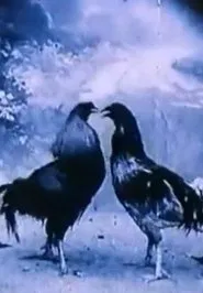 Criminal Animals movie poster