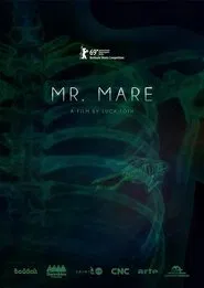 Mr. Mare movie poster