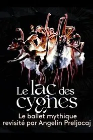 Le lac des cygnes au théâtre national de Chaillot movie poster