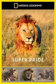 Superpride movie poster