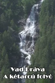 Vad Dráva - A kétarcú folyó movie poster