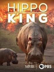 Poster do filme Hippo King
