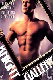 Knight Gallery 2 movie poster