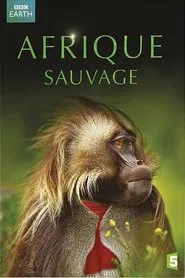 Afrique Sauvage movie poster