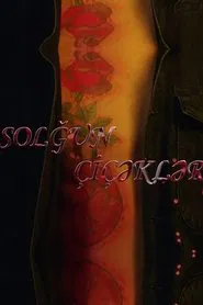 Faded Flowers tv show poster