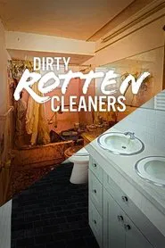 Dirty Rotten Cleaners tv show poster