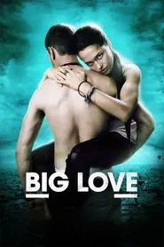 Big Love movie poster