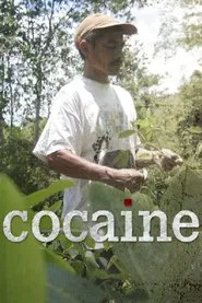 Cocaine tv show poster