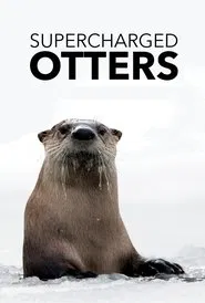 Supercharged Otters movie poster