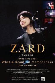 ZARD LIVE 2004“What a beautiful moment”（Full HD Edition） movie poster