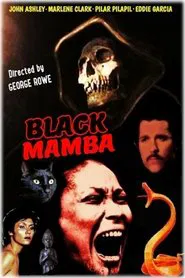 Poster do filme Black Mamba