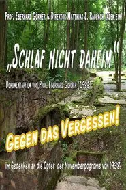 Schlaf nicht Daheim movie poster