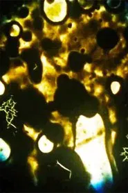 Microbes movie poster