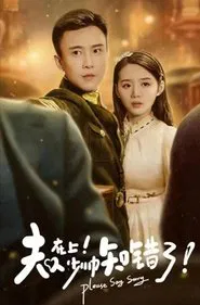 Poster da série 夫人在上少帅知错了