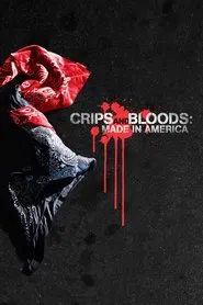 Crips and Bloods: Made in America movie poster