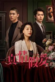 真情假爱 tv show poster