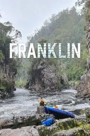 Franklin movie poster