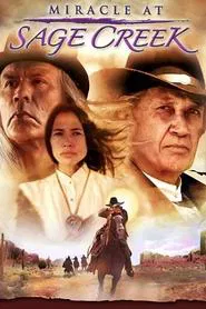 Poster do filme Miracle at Sage Creek