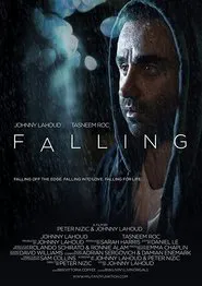 Poster do filme Falling