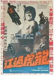 The Ferocious Brothers movie poster