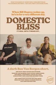 Domestic Bliss movie poster