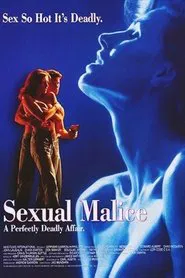 Poster do filme The Other Man