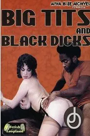 Poster do filme Big Tits and Black Dicks