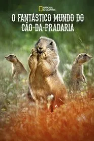 Poster da série O Fantástico Mundo do Cão-da-Pradaria