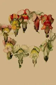 Stories In Place: Plante. movie poster